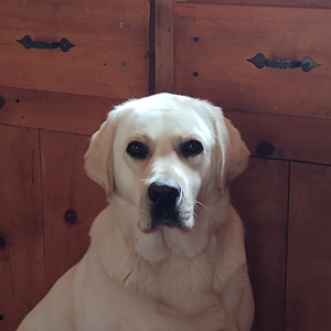 Fundraising Page: Katherine Sandman